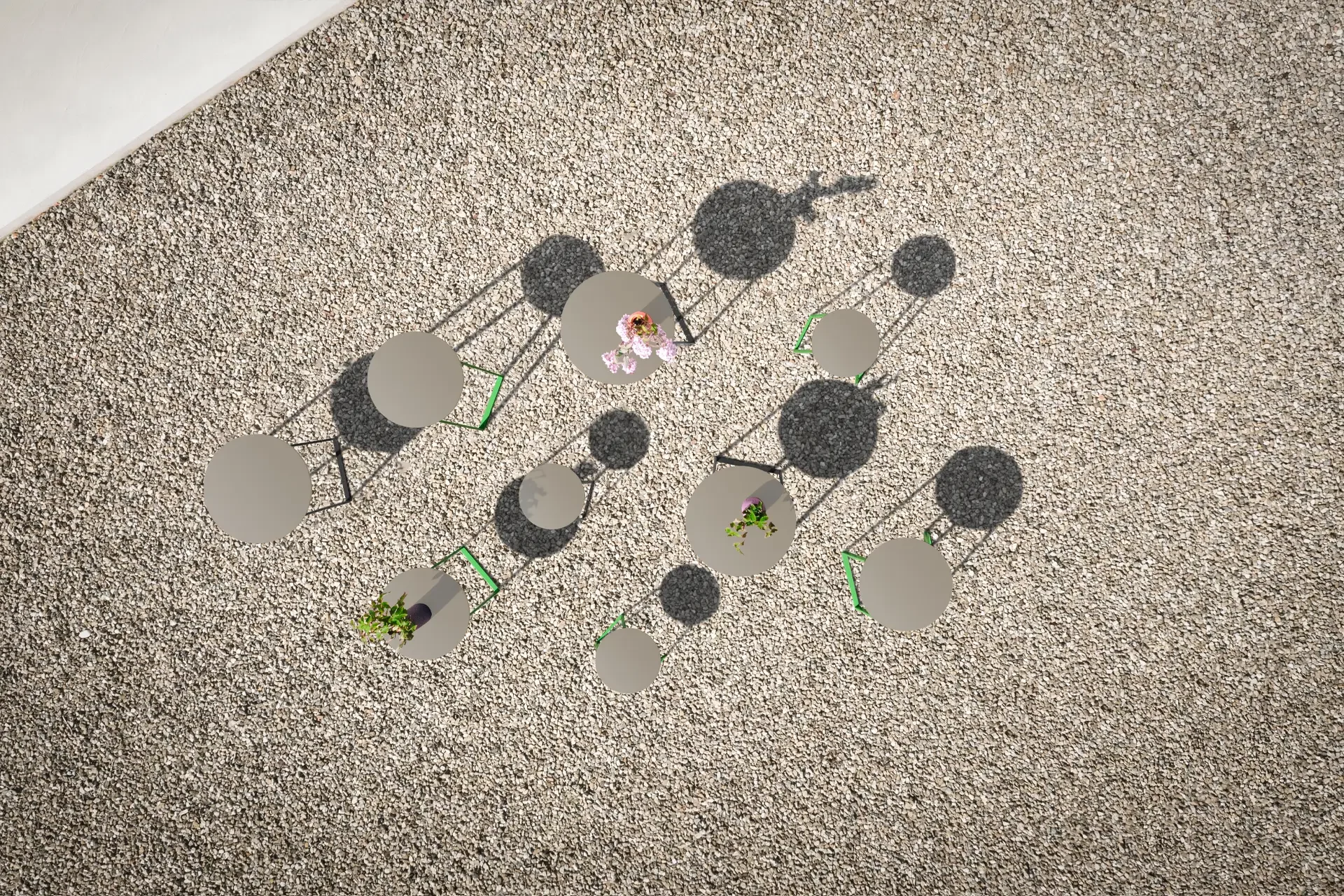 Neu - Vielseitige Begleiter für drinnen & draußen